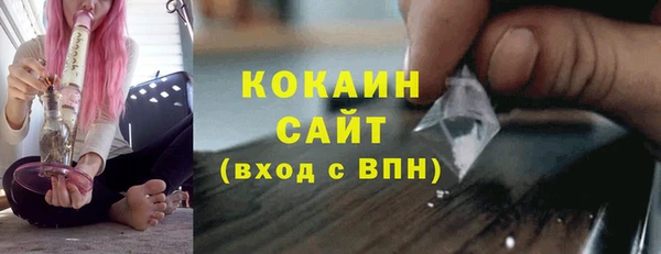 молекула духа Инсар