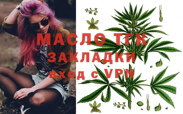 молекула духа Инсар