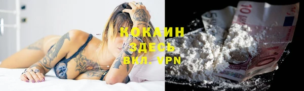 молекула духа Инсар