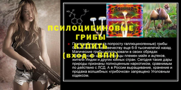 молекула духа Инсар